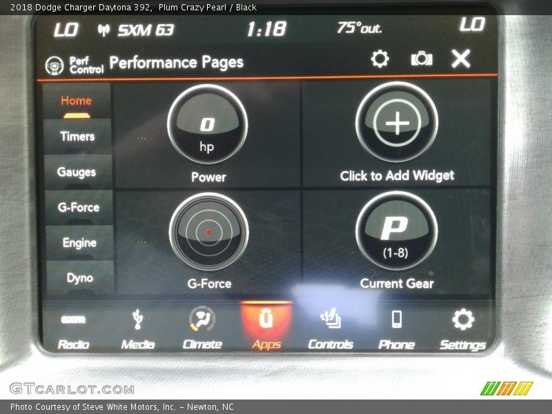 Plum Crazy Pearl / Black 2018 Dodge Charger Daytona 392