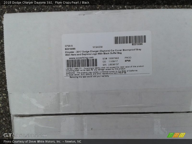 Plum Crazy Pearl / Black 2018 Dodge Charger Daytona 392