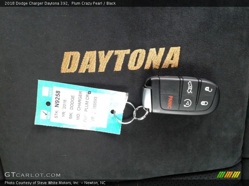 Plum Crazy Pearl / Black 2018 Dodge Charger Daytona 392
