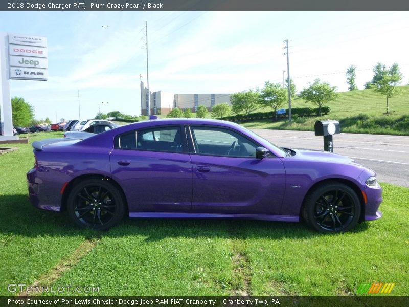 Plum Crazy Pearl / Black 2018 Dodge Charger R/T
