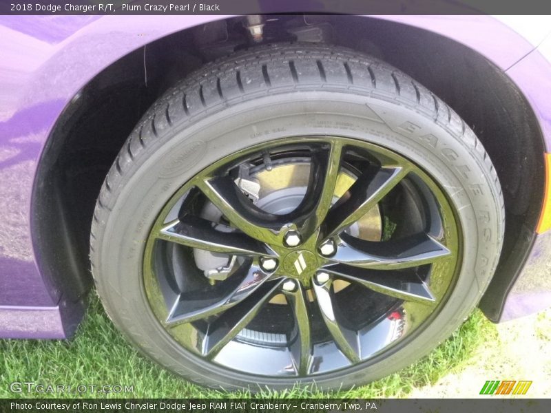Plum Crazy Pearl / Black 2018 Dodge Charger R/T