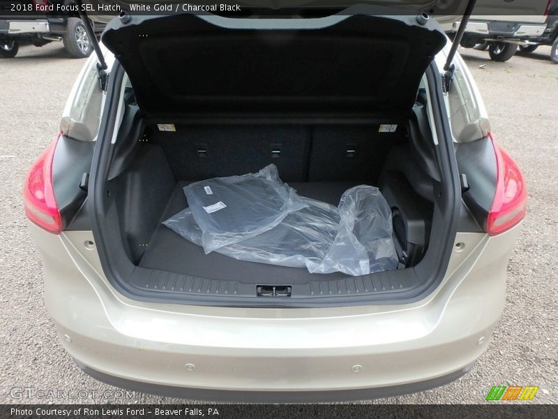 White Gold / Charcoal Black 2018 Ford Focus SEL Hatch
