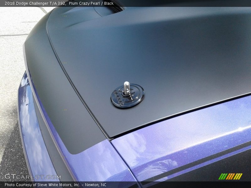 Plum Crazy Pearl / Black 2018 Dodge Challenger T/A 392