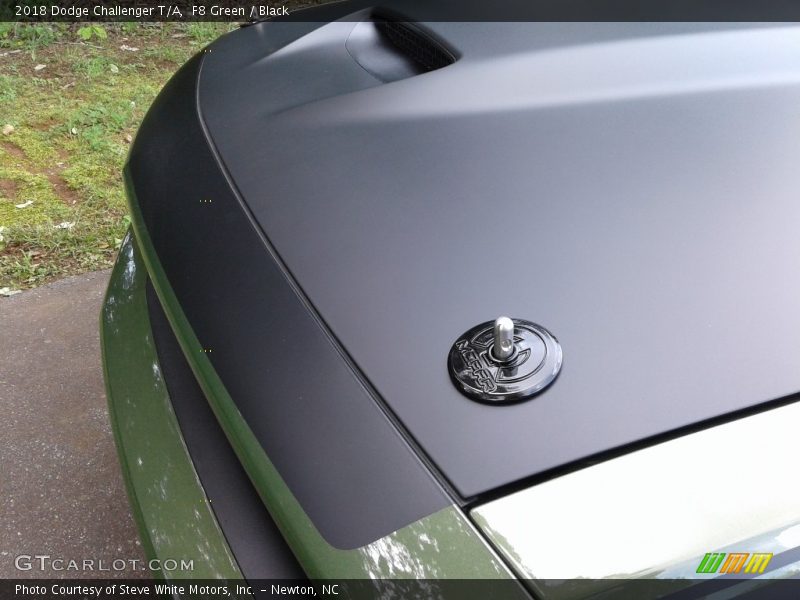 Hood Pin - 2018 Dodge Challenger T/A