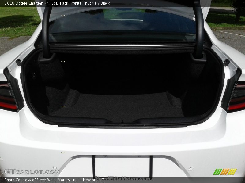 White Knuckle / Black 2018 Dodge Charger R/T Scat Pack