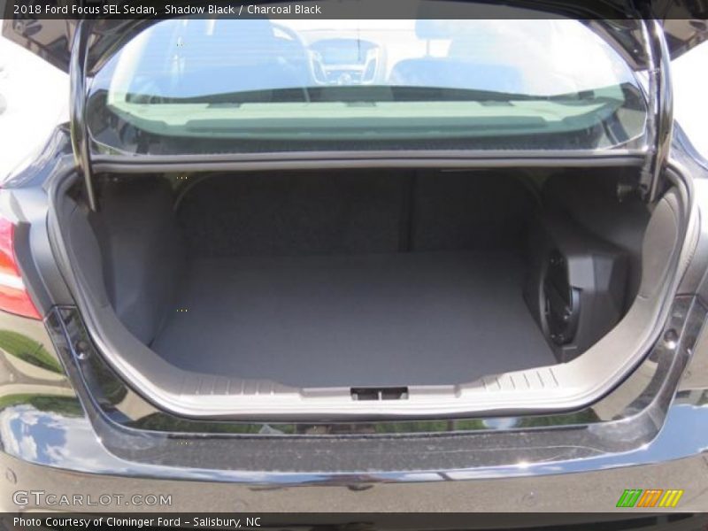 Shadow Black / Charcoal Black 2018 Ford Focus SEL Sedan