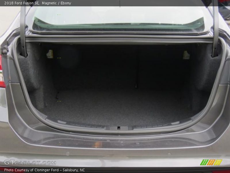 Magnetic / Ebony 2018 Ford Fusion SE