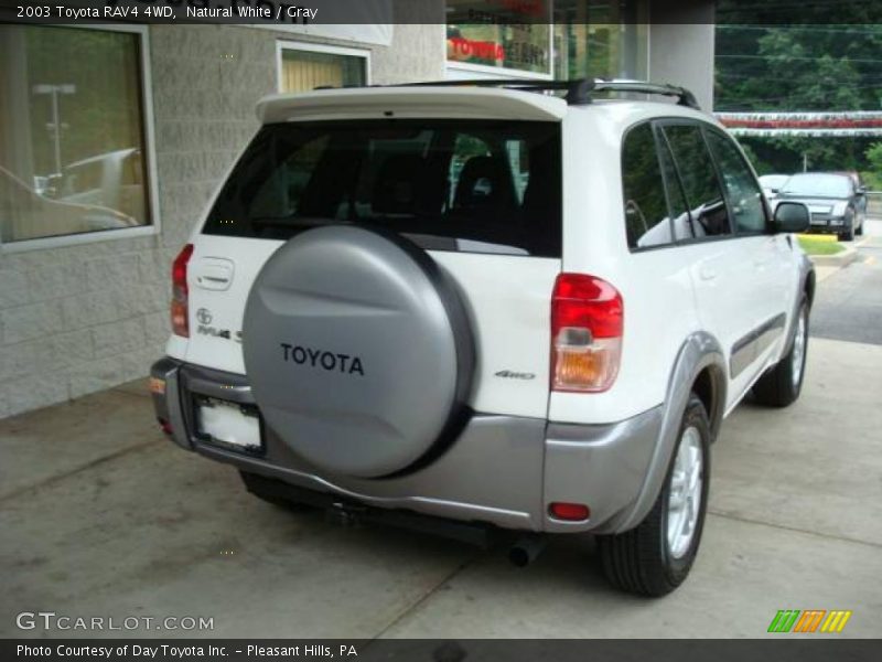 Natural White / Gray 2003 Toyota RAV4 4WD