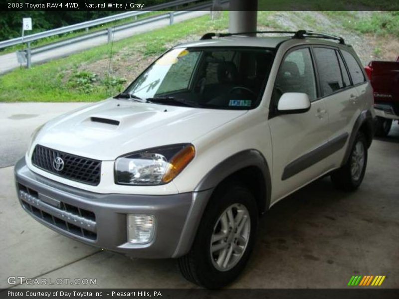 Natural White / Gray 2003 Toyota RAV4 4WD