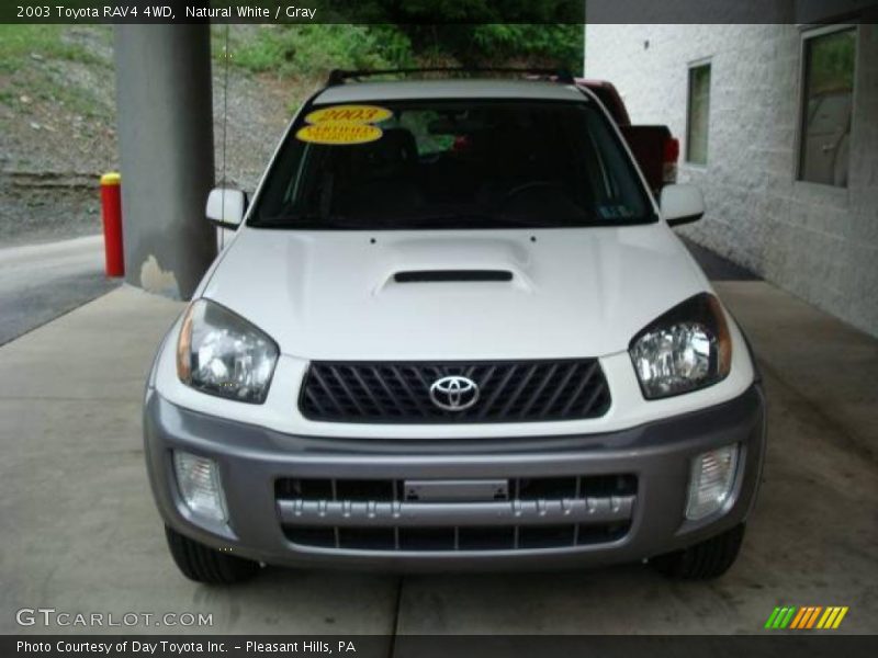Natural White / Gray 2003 Toyota RAV4 4WD