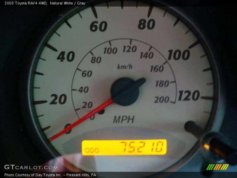 Natural White / Gray 2003 Toyota RAV4 4WD