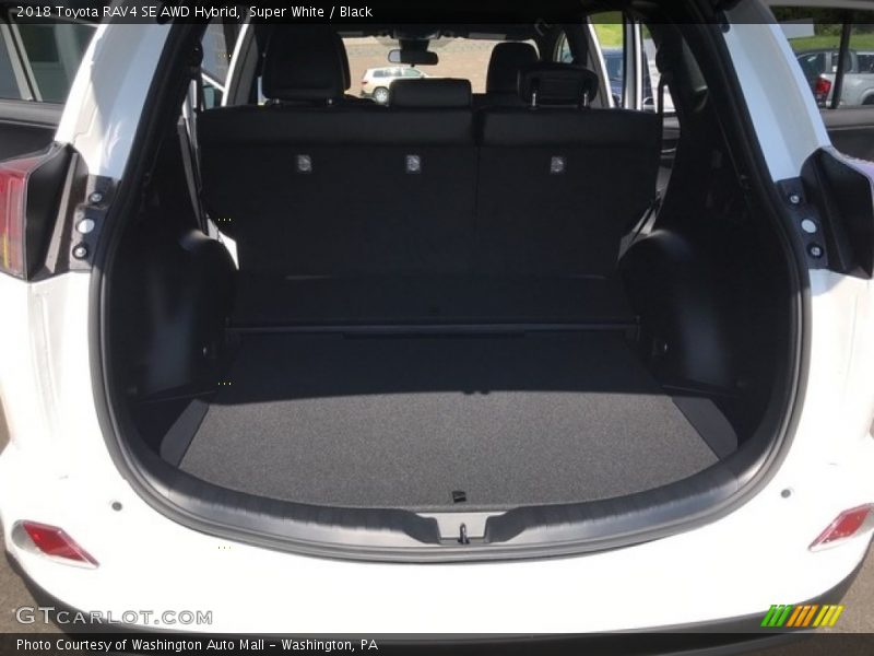  2018 RAV4 SE AWD Hybrid Trunk