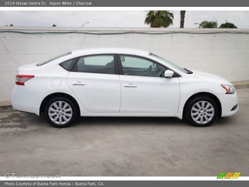 Aspen White / Charcoal 2014 Nissan Sentra SV