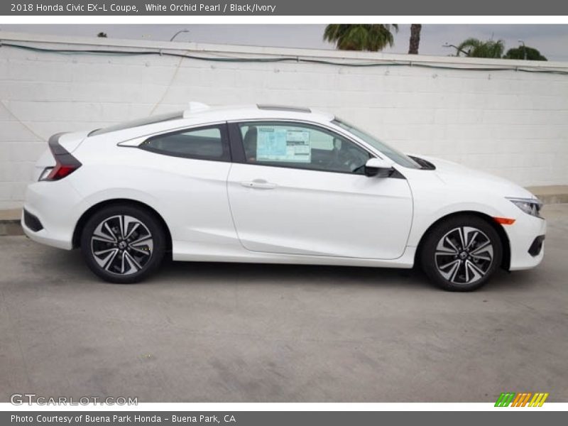 White Orchid Pearl / Black/Ivory 2018 Honda Civic EX-L Coupe