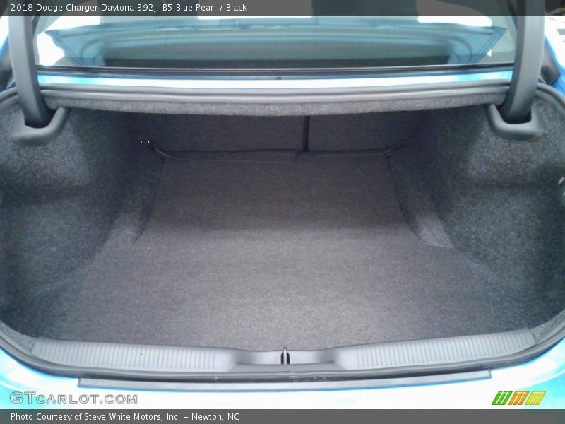 B5 Blue Pearl / Black 2018 Dodge Charger Daytona 392