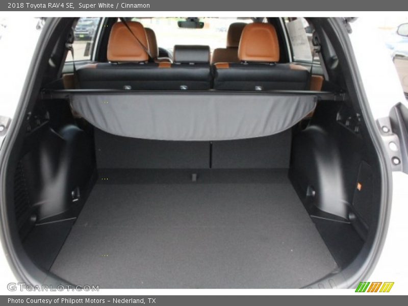 Super White / Cinnamon 2018 Toyota RAV4 SE