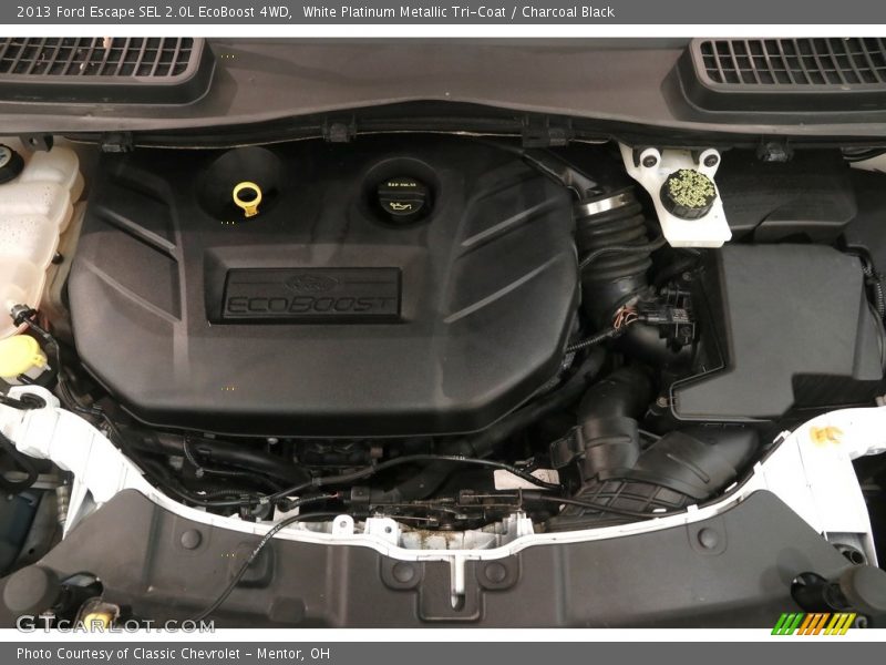White Platinum Metallic Tri-Coat / Charcoal Black 2013 Ford Escape SEL 2.0L EcoBoost 4WD
