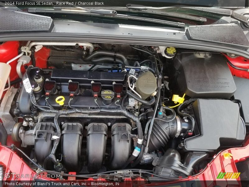 Race Red / Charcoal Black 2014 Ford Focus SE Sedan
