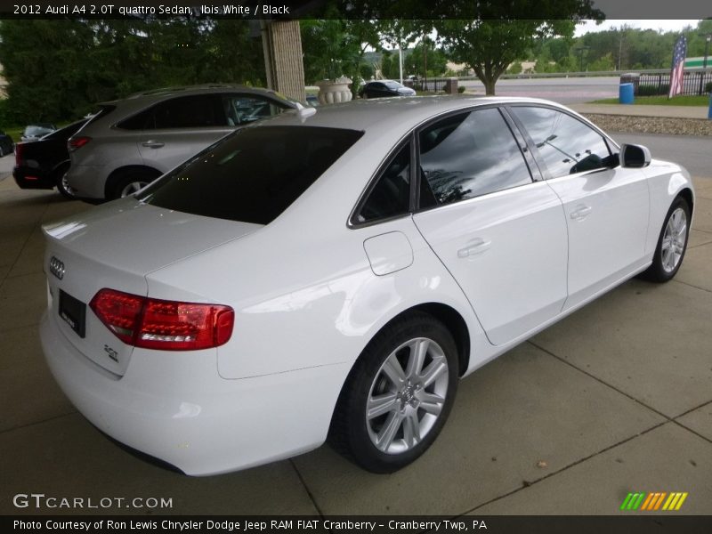 Ibis White / Black 2012 Audi A4 2.0T quattro Sedan