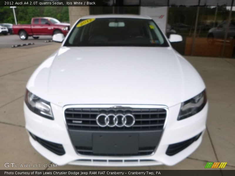 Ibis White / Black 2012 Audi A4 2.0T quattro Sedan