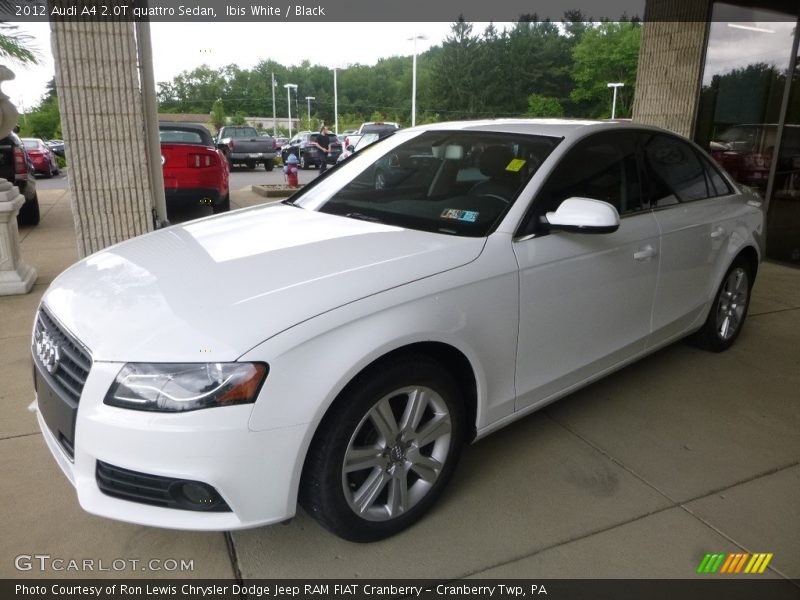 Ibis White / Black 2012 Audi A4 2.0T quattro Sedan