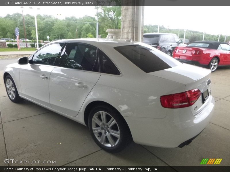 Ibis White / Black 2012 Audi A4 2.0T quattro Sedan