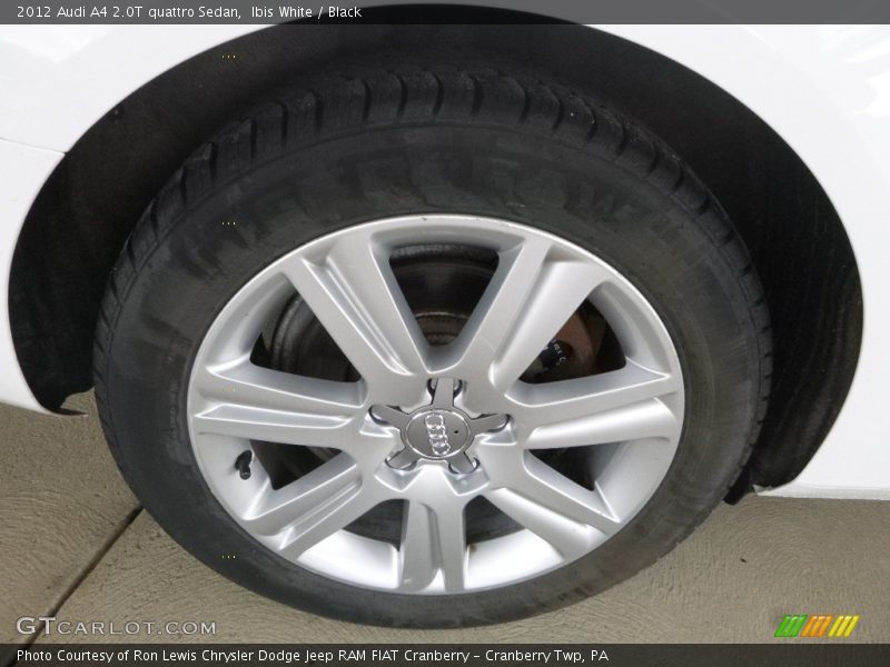 Ibis White / Black 2012 Audi A4 2.0T quattro Sedan