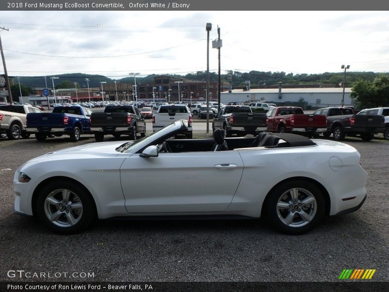 Oxford White / Ebony 2018 Ford Mustang EcoBoost Convertible