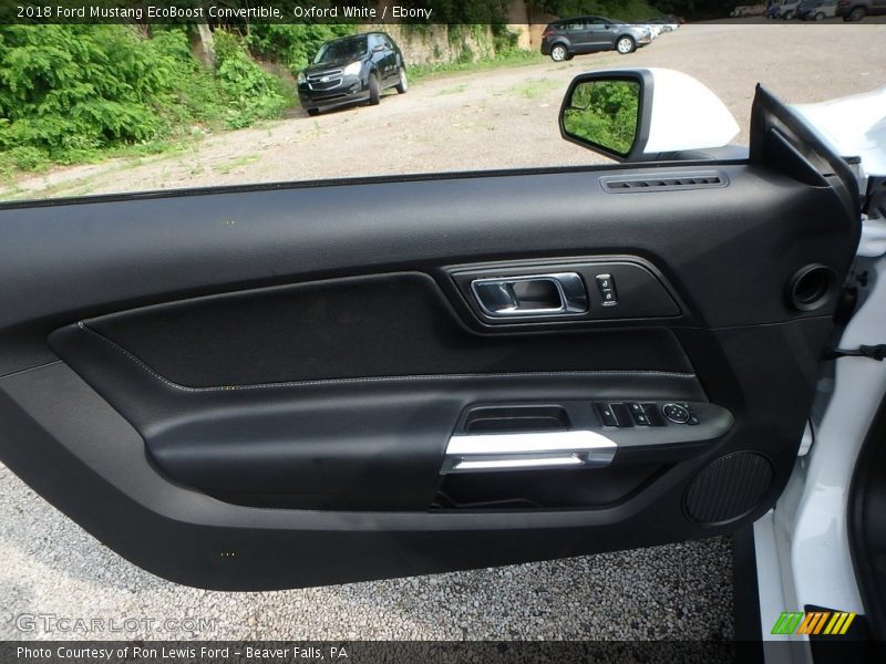 Door Panel of 2018 Mustang EcoBoost Convertible