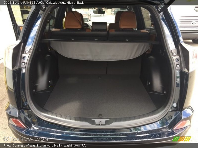 Galactic Aqua Mica / Black 2018 Toyota RAV4 SE AWD