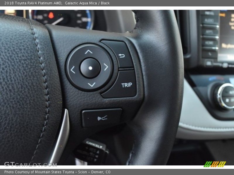 Galactic Aqua Mica / Black 2018 Toyota RAV4 Platinum AWD