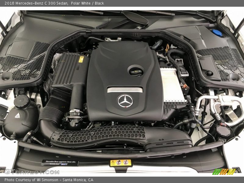 Polar White / Black 2018 Mercedes-Benz C 300 Sedan