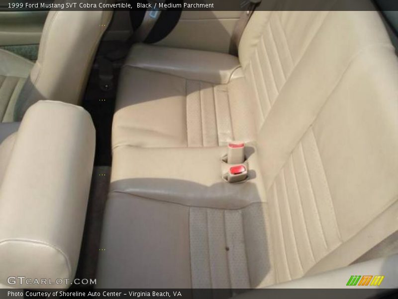 Black / Medium Parchment 1999 Ford Mustang SVT Cobra Convertible