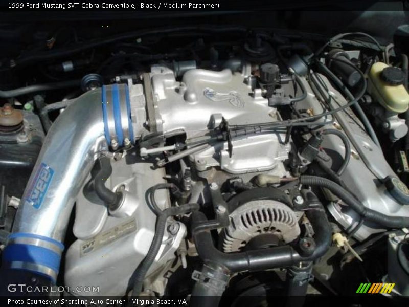 Black / Medium Parchment 1999 Ford Mustang SVT Cobra Convertible