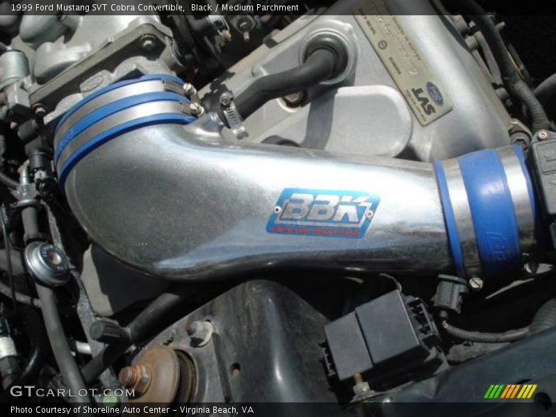 Black / Medium Parchment 1999 Ford Mustang SVT Cobra Convertible