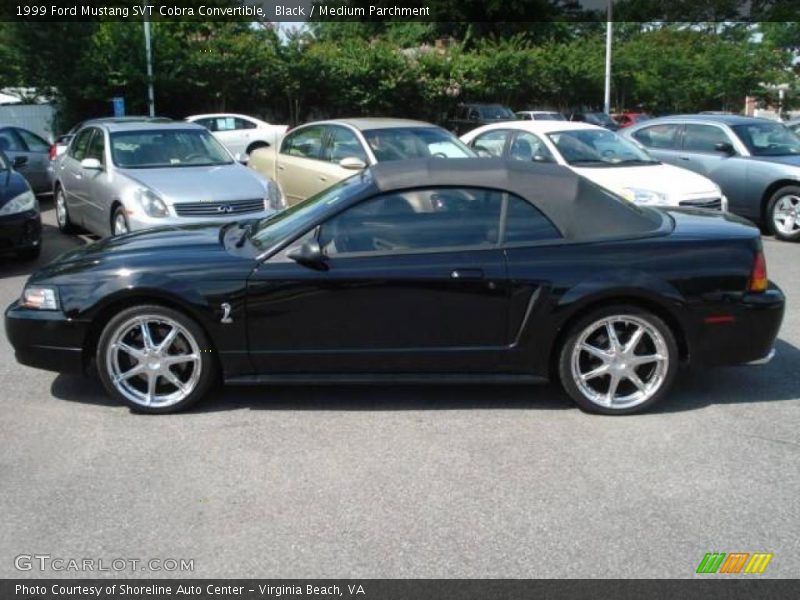 Black / Medium Parchment 1999 Ford Mustang SVT Cobra Convertible