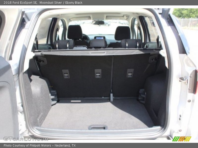Moondust Silver / Ebony Black 2018 Ford EcoSport SE