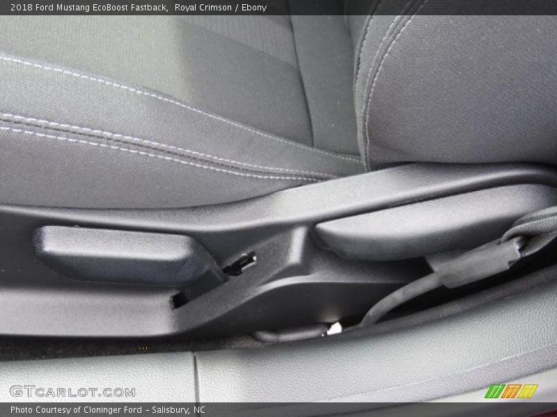 Royal Crimson / Ebony 2018 Ford Mustang EcoBoost Fastback