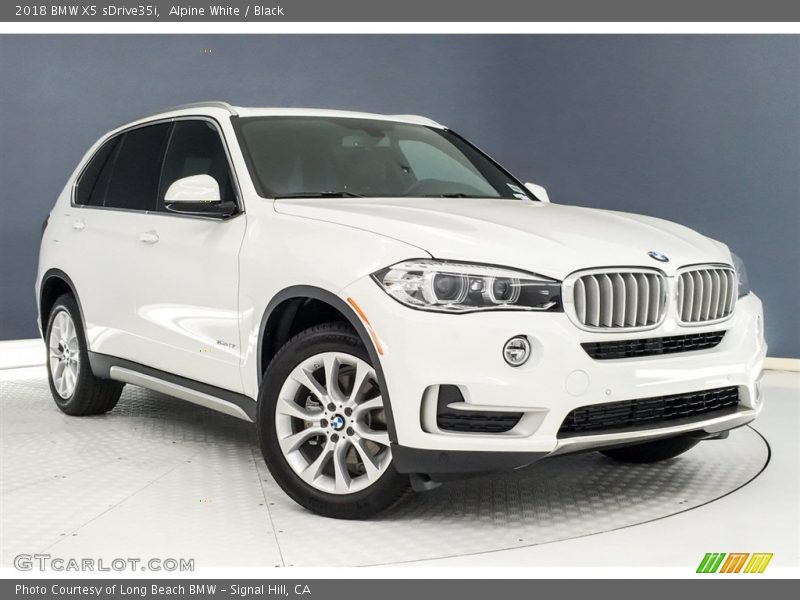 Alpine White / Black 2018 BMW X5 sDrive35i