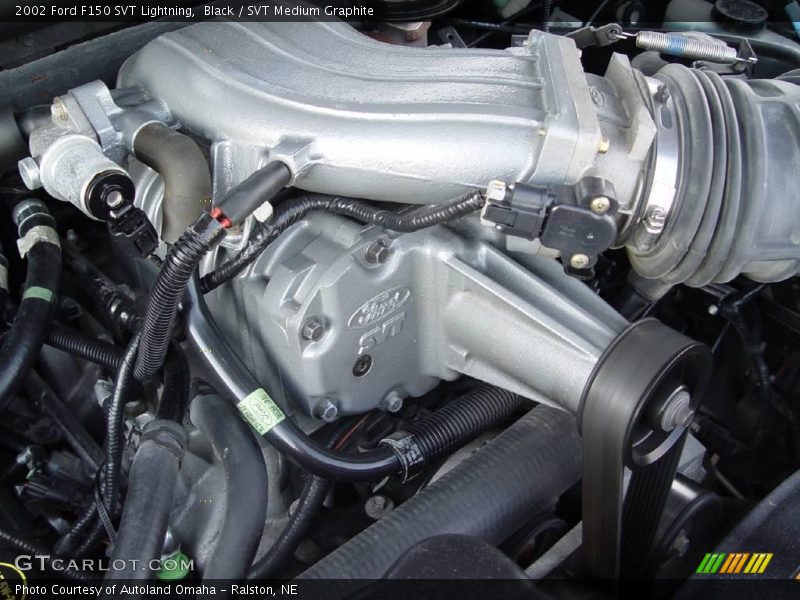 Black / SVT Medium Graphite 2002 Ford F150 SVT Lightning