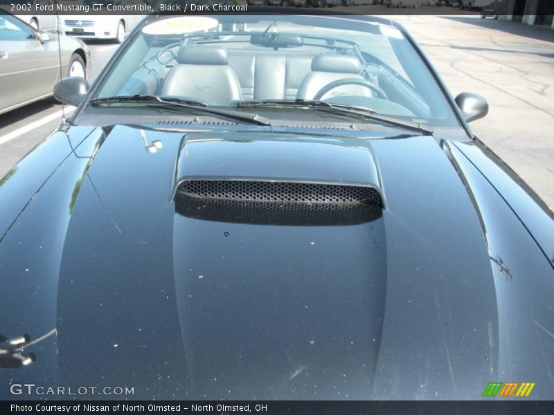 Black / Dark Charcoal 2002 Ford Mustang GT Convertible