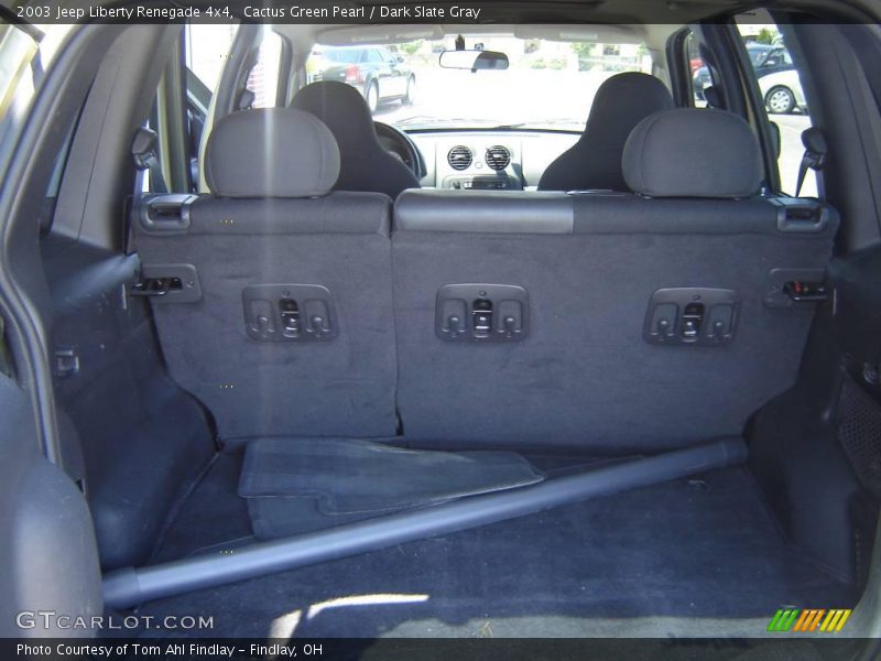 Cactus Green Pearl / Dark Slate Gray 2003 Jeep Liberty Renegade 4x4