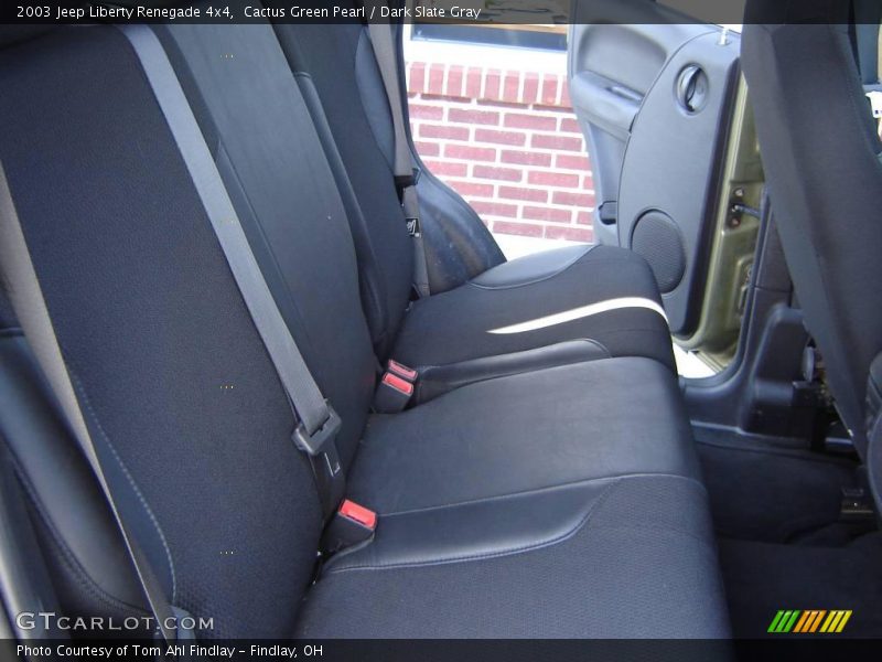 Cactus Green Pearl / Dark Slate Gray 2003 Jeep Liberty Renegade 4x4