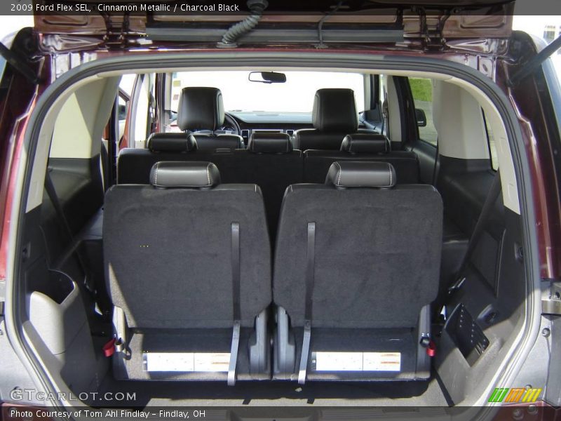 Cinnamon Metallic / Charcoal Black 2009 Ford Flex SEL