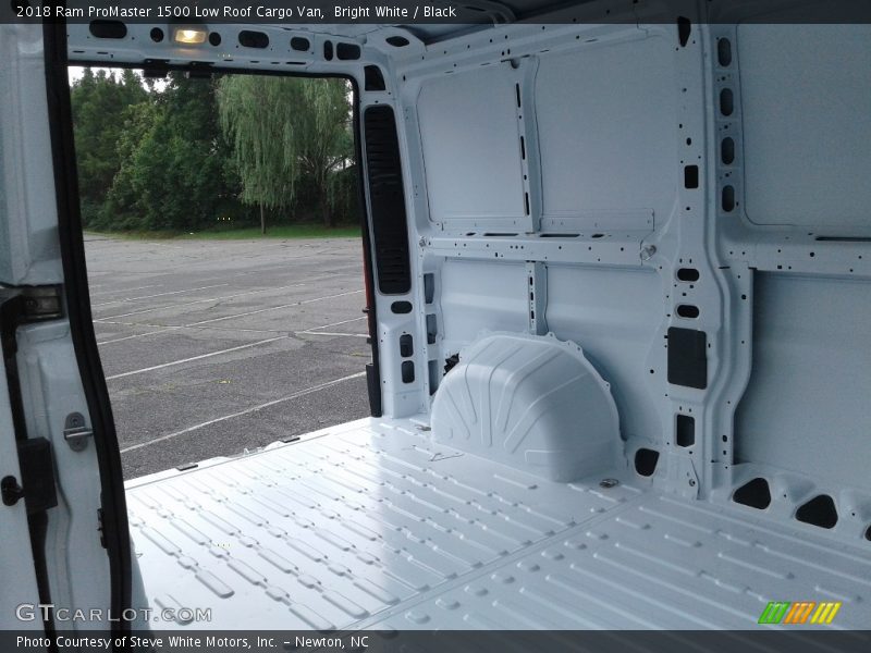  2018 ProMaster 1500 Low Roof Cargo Van Trunk