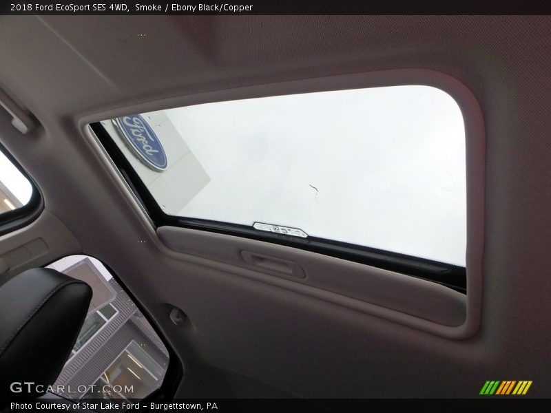 Smoke / Ebony Black/Copper 2018 Ford EcoSport SES 4WD