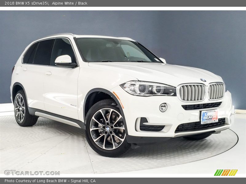 Alpine White / Black 2018 BMW X5 sDrive35i