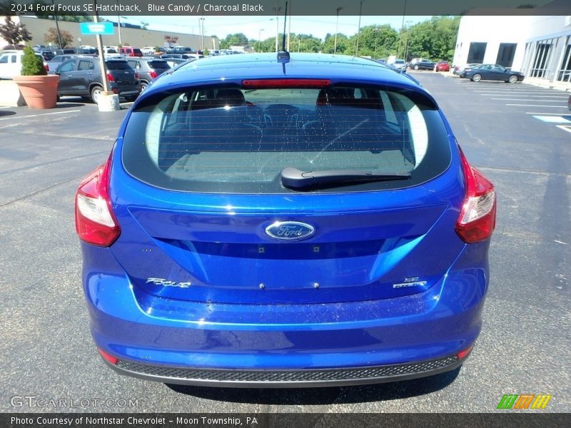 Blue Candy / Charcoal Black 2014 Ford Focus SE Hatchback