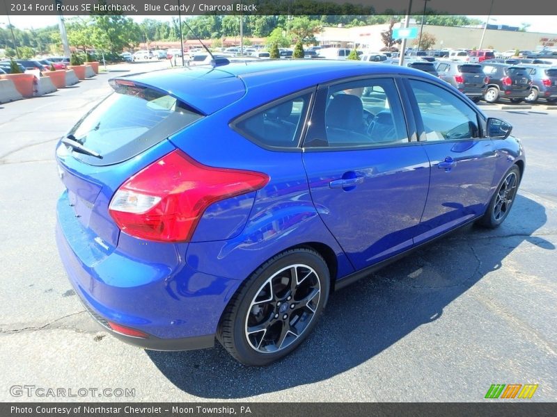 Blue Candy / Charcoal Black 2014 Ford Focus SE Hatchback