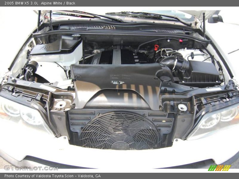 Alpine White / Black 2005 BMW X5 3.0i